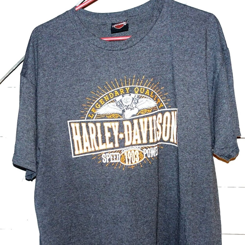 Harley Davidson Gray Rapid City South Dakota T-Shirt Xl